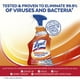 thumbnail image 2 of Limpiador en aerosol Lysol Pro Kitchen, antibacteriano, 650 ml, cítricos, 2 of 6