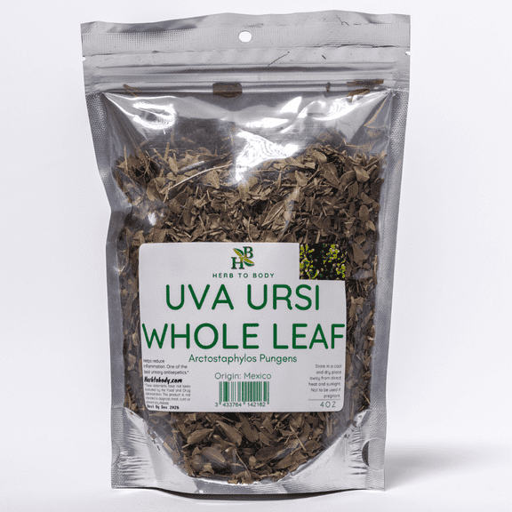 Herb To Body Uva Ursi Herb Leaves Whole - 4oz, Wildcrafted Arctostaphylos Pungens, Herbal Tea Loose Leaf for Uva Ursi Tea, Tinctures, Extracts, and Traditional Preparations