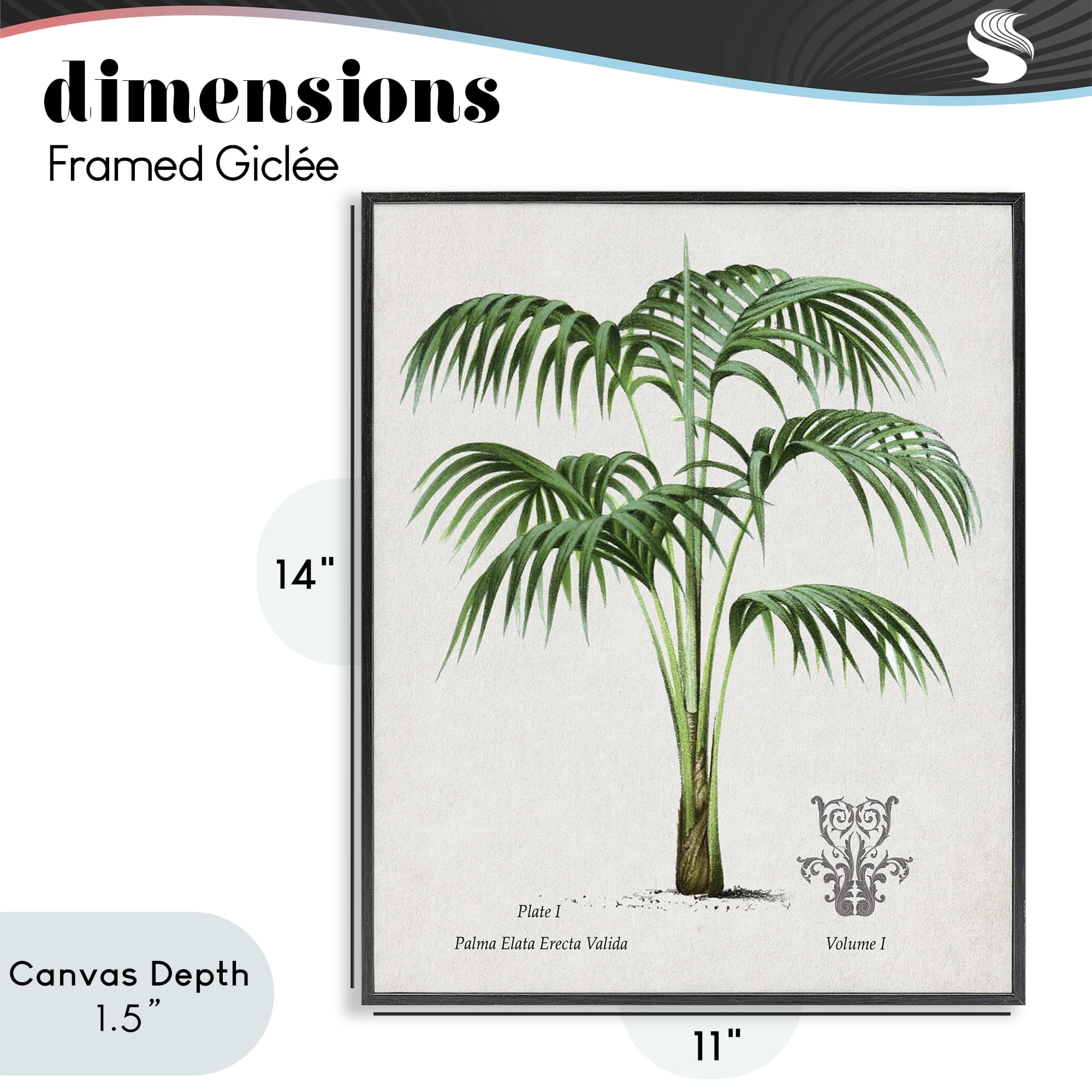 Stupell Industries Natural Palm Study Black Framed Giclee Art, design by Val Rhodes