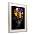 thumbnail image 2 of Stupell Industries Glam Butterfly Adorned Arrangement Birch Framed Print Under Glass, 13 x 16, by Carl Kravats, 2 of 8