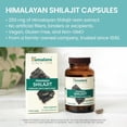 thumbnail image 4 of Himalaya Shilajit Extract Natural Supplement, Supports Energy, 60 Capsules, 4 of 9