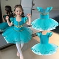 thumbnail image 3 of Emy Dola 3-8T Girls Princess Costume Dance Dress Girls Fairy Tutu Skirted Leotard Ballet Dress Toddler Kids Dancewear-1 Piece, 3 of 6