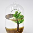 thumbnail image 4 of Plantas de plástico Artificiales jinwen Adorno del Acuario decoraciones, 4 of 6