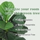 thumbnail image 4 of Yeshouse Árbol Artificial de planta de planta falsa con macemacenegro, macede falsa higuera de hoja de Fiddle para la decoración interior al aire libre de la oficina en casa, 4 of 6