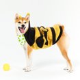 thumbnail image 1 of unbranded Disfraz Pet De Abeja Multicolor Para Perro Ropa De Pieza Patas Resistente Y Cómoda, 1 of 7