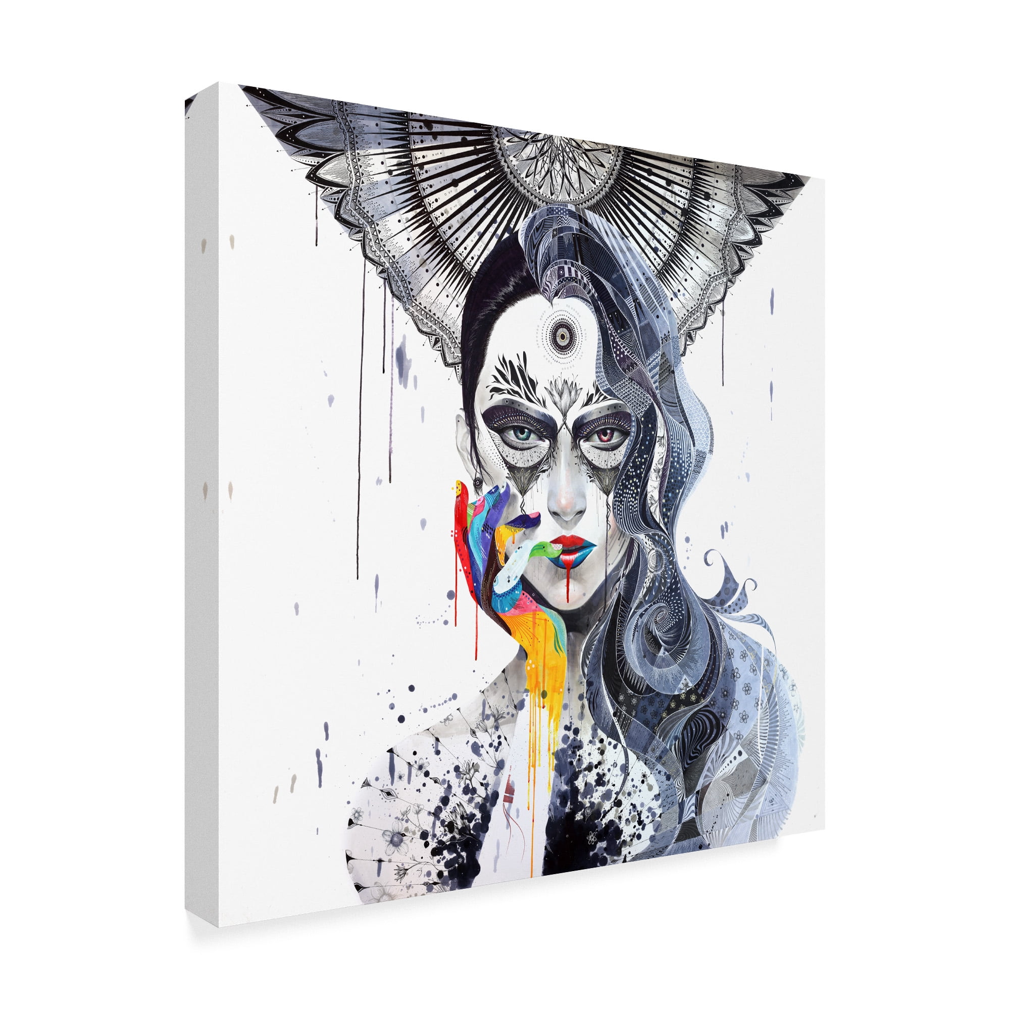 Trademark Fine Art 'Janus' Canvas Art by Minjae