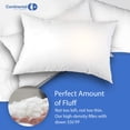 thumbnail image 4 of Almohada Continental Bedding, firme, plumón de ganso, tamaño king, 1,06 kg, 4 of 6