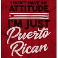 thumbnail image 2 of Puerto Rican PR Pride Se Levanta Sweatshirt for Men or Women Brisco Brands S, 2 of 5