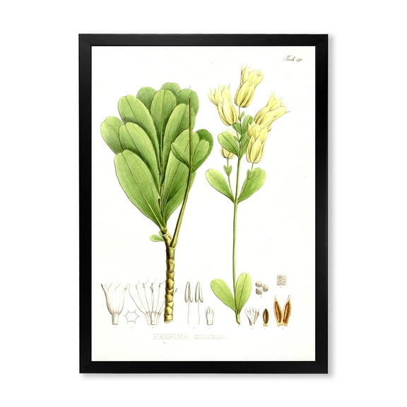 Designart 'Ancient Brazilian Plant III' Traditional Framed Art Print