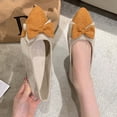 thumbnail image 5 of Ytobaz Flat Shoes for women Bow Accent Pointed Toe Ballet Flats Suede Dress Shoes Office Wedding Party Daily Casual Walking Travel Footwear, 5 of 9