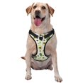 thumbnail image 1 of Fotbe Green Avocado Arnés para Perro con Estampado –Chaleco Ajustable Acolchado con Asa de Control para Perros Grandes-X-Large, 1 of 6