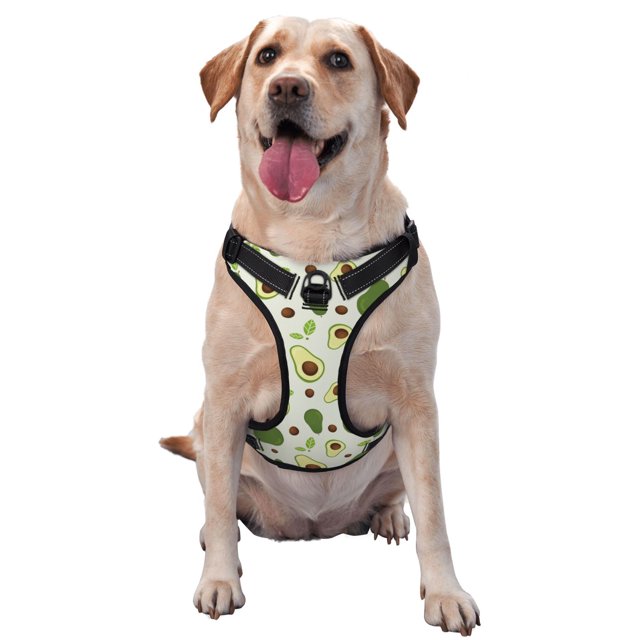 Fotbe Green Avocado Arnés para Perro con Estampado –Chaleco Ajustable Acolchado con Asa de Control para Perros Grandes-X-Large