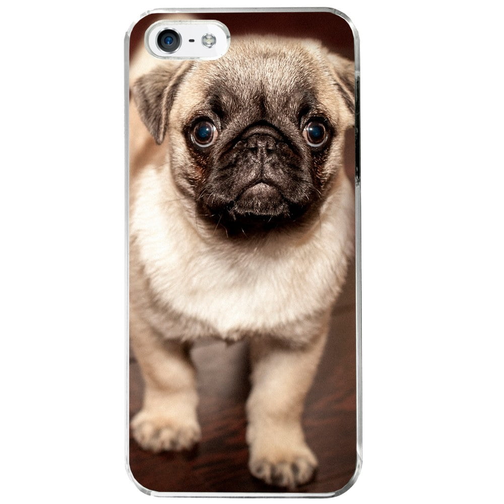 Pug Dog Puppy Looking At Camera Apple iPhone 5 / 5S Phone Case ...