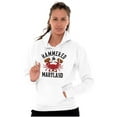 thumbnail image 4 of Hammered in Maryland Funny MD Party Hoodie Sweatshirt Women Men Brisco Brands L, 4 of 6