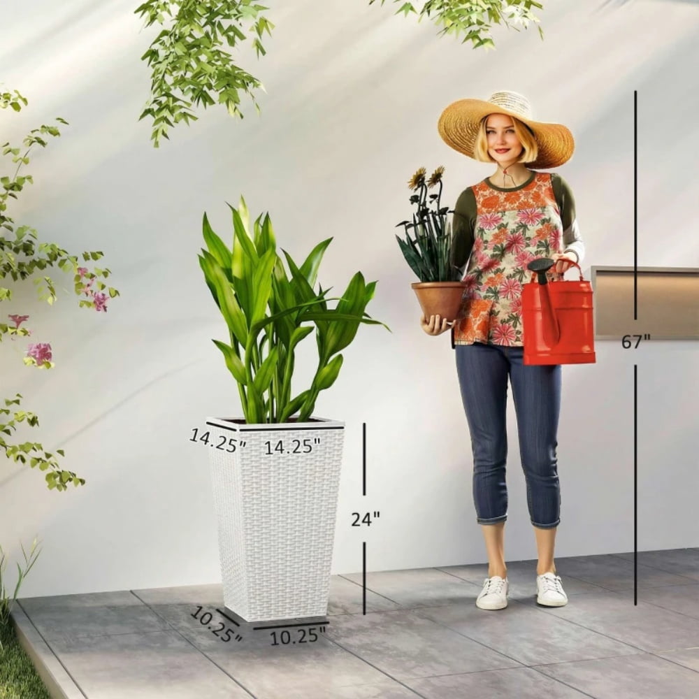 Flower Pot