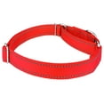 thumbnail image 3 of Country Brook Petz - Vibrant 8 Color Selection - Reflective Nylon Martingale Dog Collar, 3 of 7