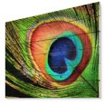 thumbnail image 1 of Design Art - Plume de Paon, 1 of 5