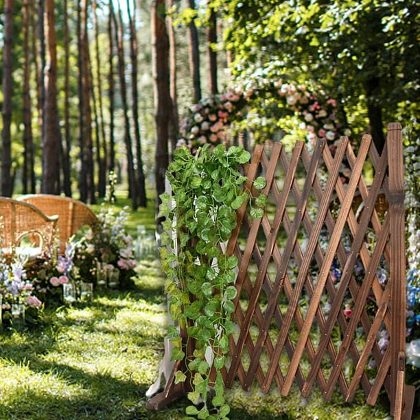 Clôture en bois extensible Treillis de jardin rétractable Clôture