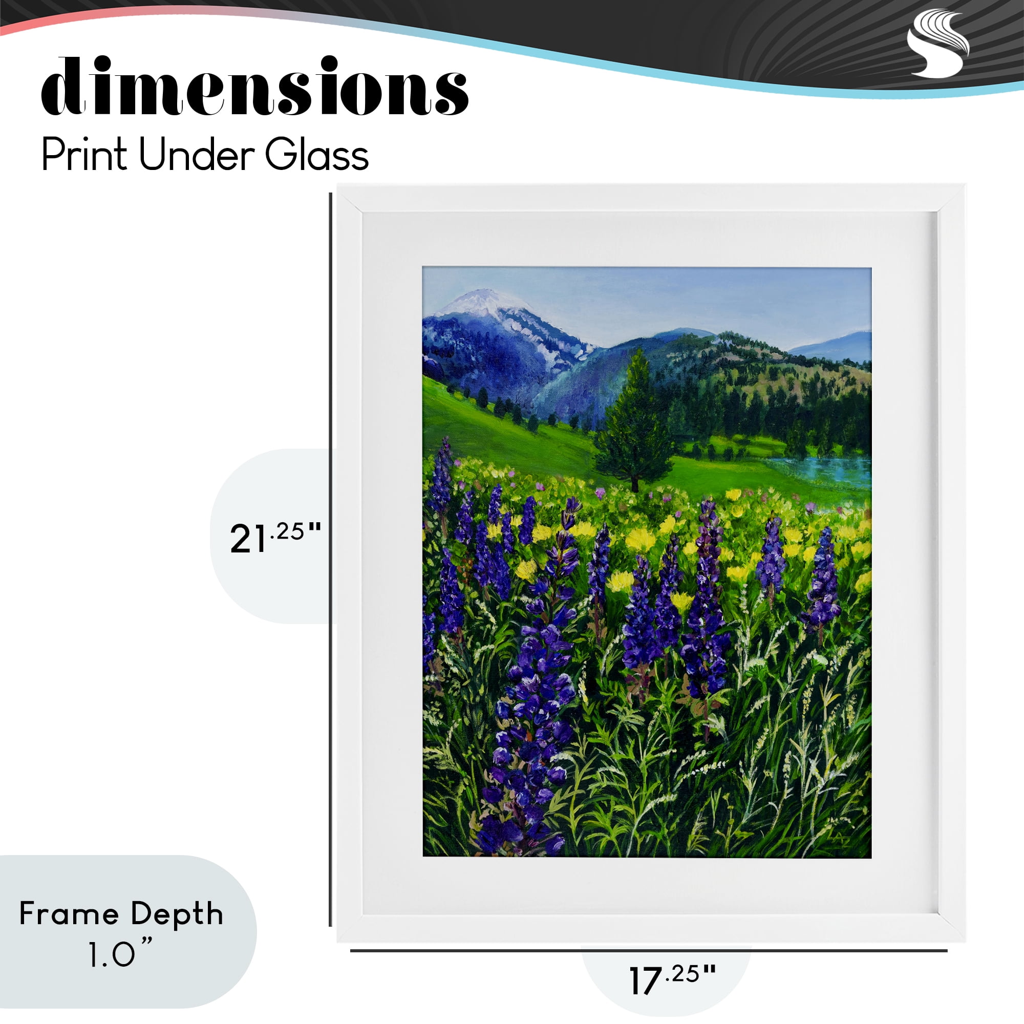 Stupell Industries Flower Speckled Valley White Framed Print Under Glass, design by Lee Ann Zirbes