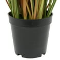 thumbnail image 4 of Vickerman 36" PVC Artificial Potted Green and Brown Grass and Plastic Grass., 4 of 5
