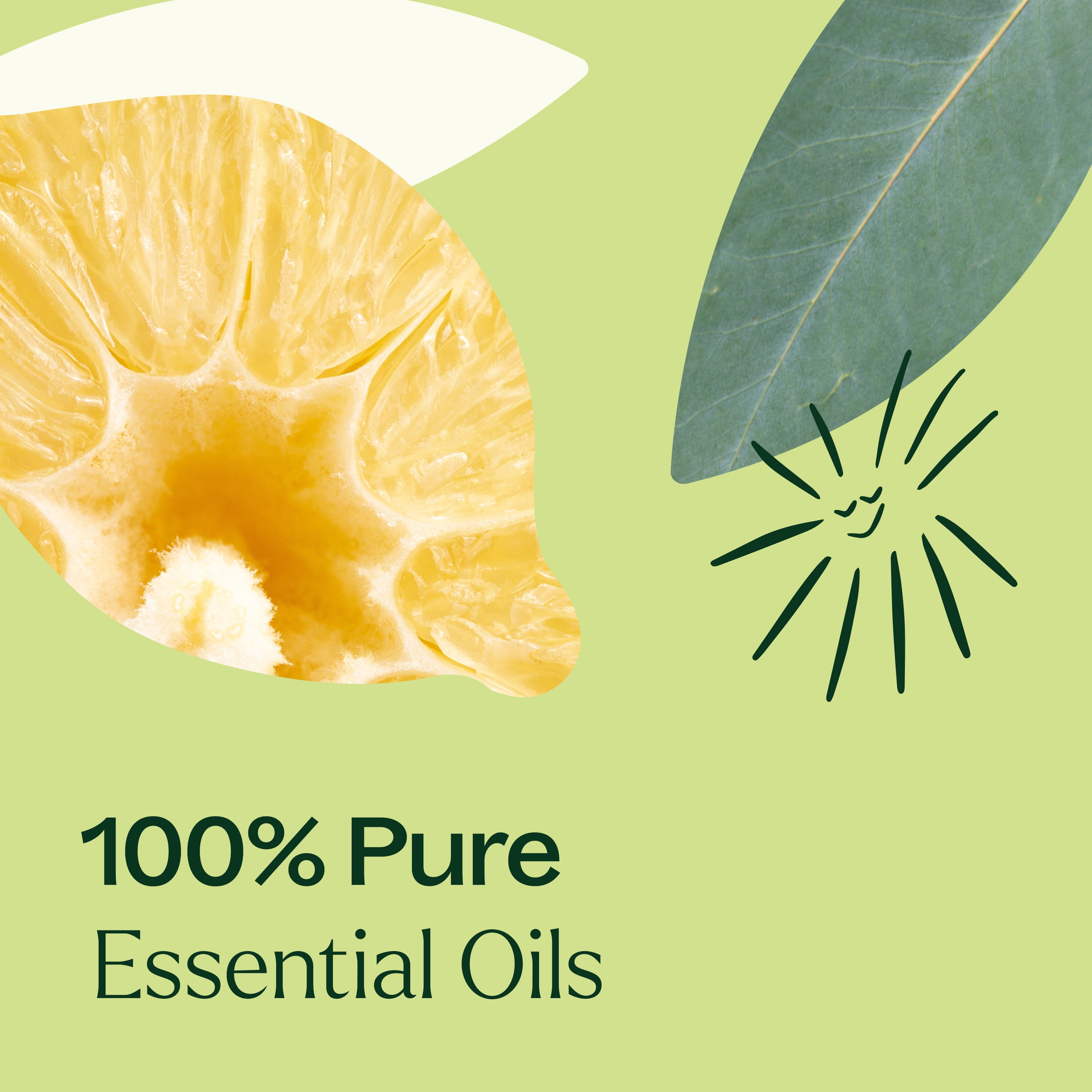 Plant Therapy Immune Aid Essential Oil Blend 100 mL (3.3 oz) 100% Pure, Undiluted, Natural Aromatherapy