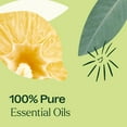 thumbnail image 5 of Plant Therapy Immune Aid Essential Oil Blend 10 mL (1/3 oz) 100% Pure, Undiluted, Natural Aromatherapy, 5 of 8