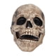 thumbnail image 3 of Accesorios de Halloween, máscara de calavera de Halloween, máscara de cosplay completa, máscara de Halloween, estándares líderes en la industria, 3 of 8