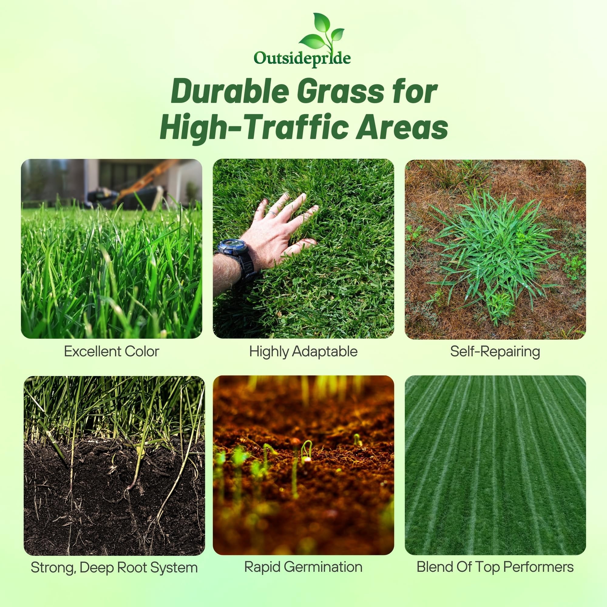 Outsidepride 5 lb. Combat Extreme Turf Type Fescue Lawn Grass Seed Blend for Transition Zone
