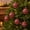 B, variant on Vintage Christmas Ball Ornaments, Textured Round Baubles, Classic Tree Hanging Accents, Nostalgic Holiday Decoration, Seasonal Decorative Collection, for Party Home Display