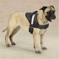 thumbnail image 1 of Guardian Gear ZA6223 20 17 Excursion Harness 20-26 In Black, 1 of 1