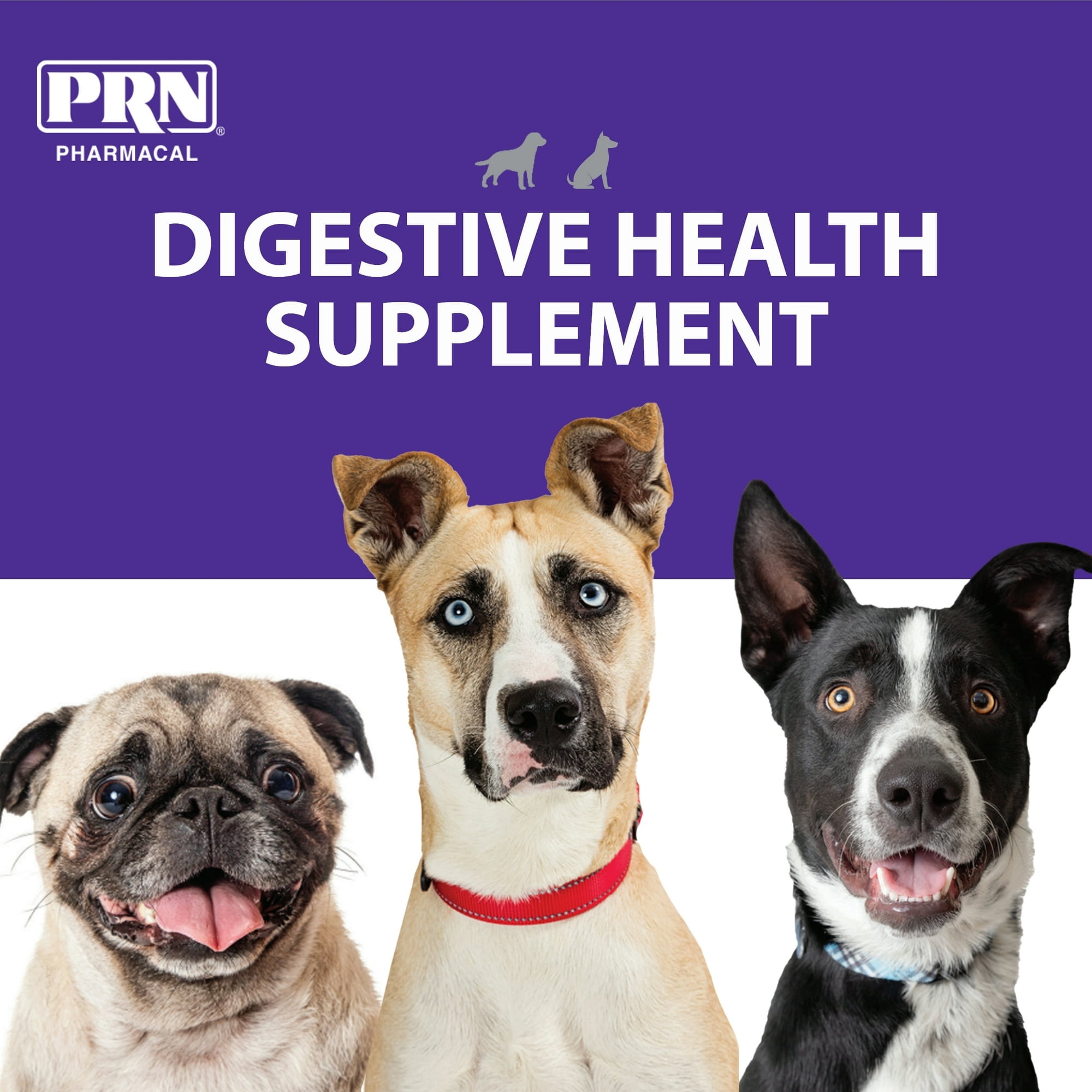 PRN Pharmacal Gastromate Canine IGY - Dog and Puppy Oral Probiotic Supplement to Help Support Digestive Health - With Antioxidants, Vitamins, Dietary Fiber - Salmon and Pork Flavoring - 12 mL Syringe