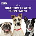 thumbnail image 3 of PRN Pharmacal Gastromate Canine IGY - Dog and Puppy Oral Probiotic Supplement to Help Support Digestive Health - With Antioxidants, Vitamins, Dietary Fiber - Salmon and Pork Flavoring - 12 mL Syringe, 3 of 7