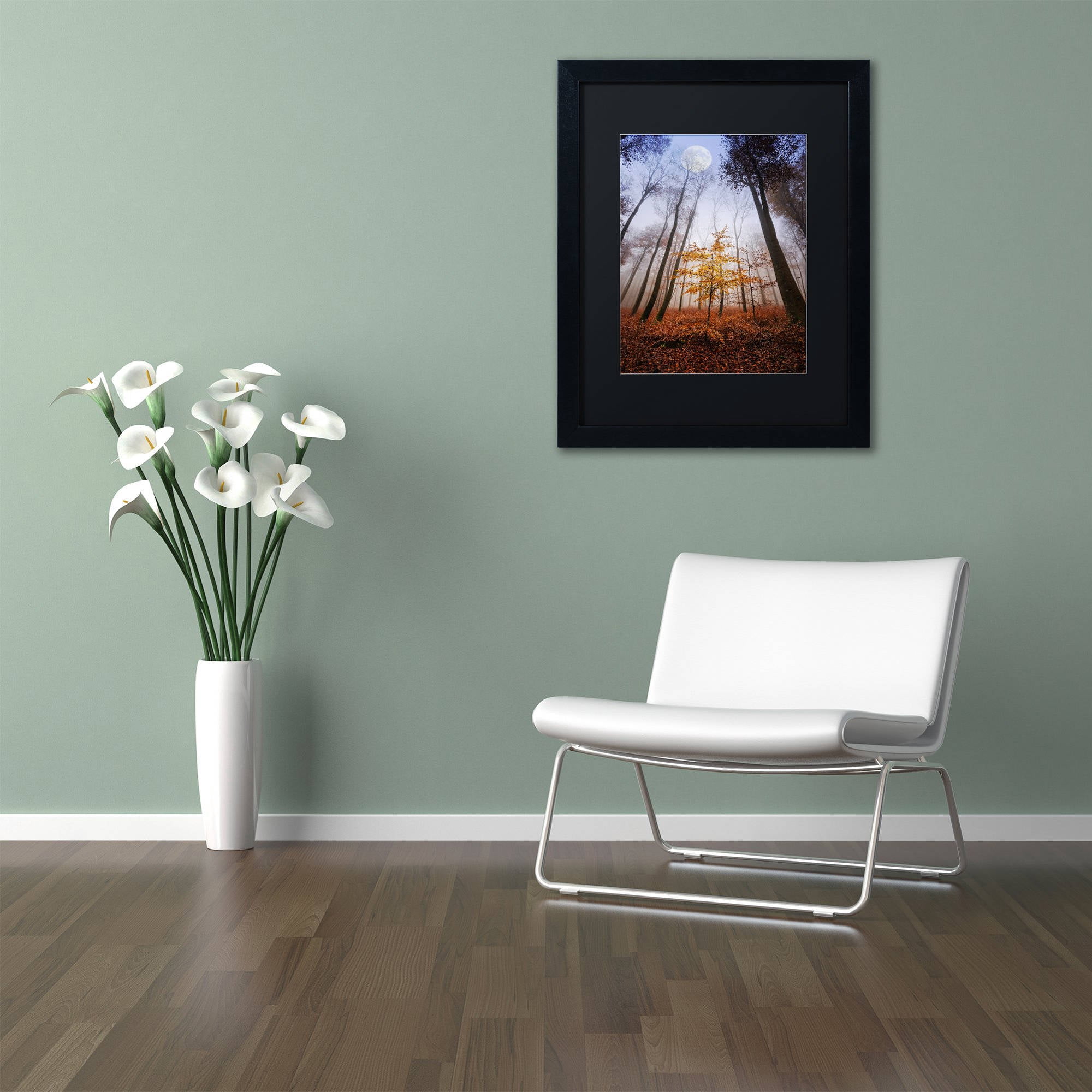 Trademark Fine Art "Sentinel" Canvas Art by Philippe Sainte-Laudy Black Matte, Black Frame