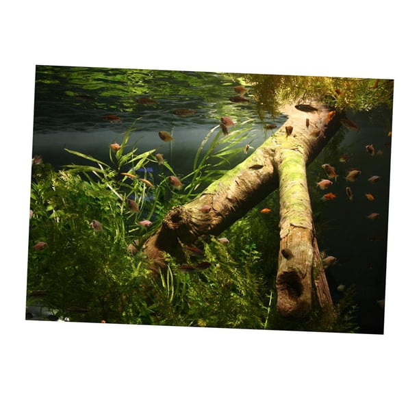 Fondo de Acuario Colco Static Fish Aquarium S Madera subacuática
