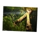 thumbnail image 1 of Fondo de Acuario Colco Static Fish Aquarium S Madera subacuática, 1 of 8
