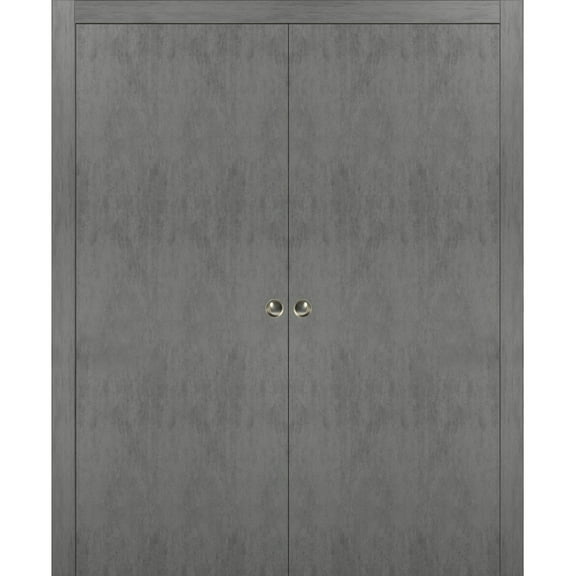 Sliding French Double Pocket Doors 48 x 96 inches | Planum 0010 Concrete | Kit Trims Rail Hardware | Solid Wood Interior Bedroom Sturdy Doors