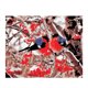 thumbnail image 2 of Kits de Pintura Sin Mc Números, Póster de Ped pa Decoración de Bricolaje de Oficina en Árbol de pájo BLESIY Cuadro de pintura al óleo, 2 of 6