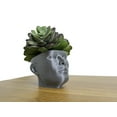 thumbnail image 3 of Clever Contraptions "Pot Head" Succulent Planter Vase - Medium, 3 of 9