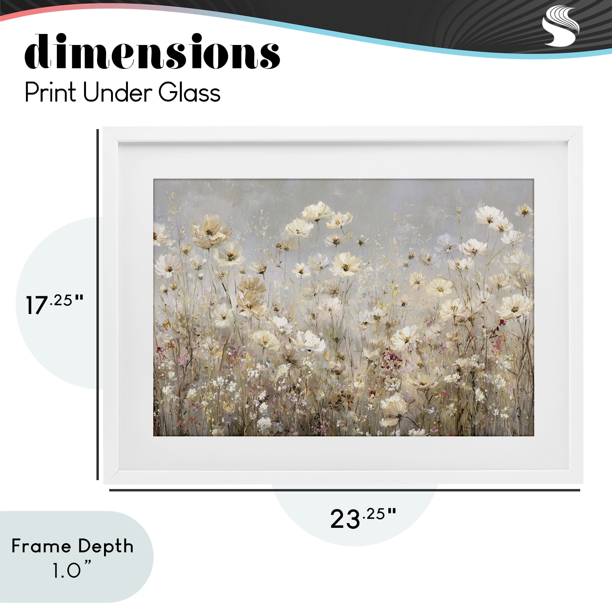 Stupell Industries White Daisy Clusters Meadow White Framed Print Under Glass, design by Jacky Ngan