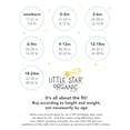 thumbnail image 3 of Little Star Organic Baby Boy Short Sleeve Pure Organic Bodysuits, 5 Pack (NB-24M), 3 of 5