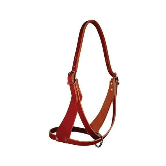 Challenger USA Horse Tack Figure Eight Halter 5/8 wide Full 975N080F