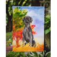 thumbnail image 3 of Carolines Treasures CK1957GF Fall Black Labrador Retriever Garden Size Flag, 3 of 3