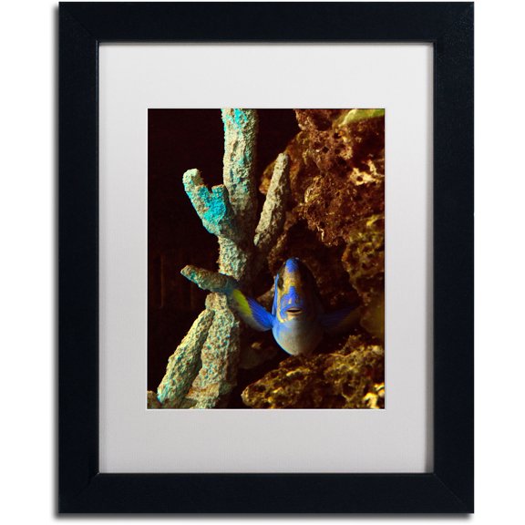 Trademark Fine Art "Fish in the Rocks" Canvas Art by Kurt Shaffer, White Matte, Black Frame