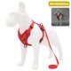 thumbnail image 1 of Billuyoard Conjunto de arnés para mascotas para perros y gatos, chaleco reflectante sencillo para caminar para perros, chalecos para cachorros, Suministros para perros Rojo/M, 1 of 6