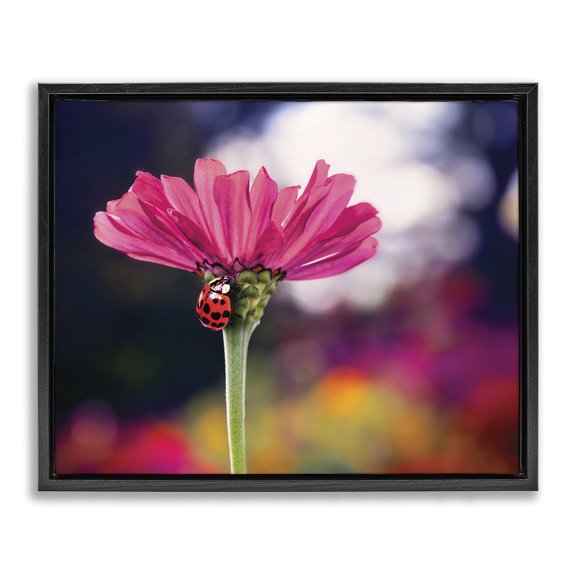 Stupell Industries Rustic Lodge Ladybug with Pink Flower Black Floating Frame Canvas Art, 21 x 17, by Karen Burke