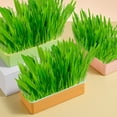 thumbnail image 5 of Washranp Durable Plastic Growing Trays,Easy to Clean Cat Grass Planter with Detachable Bottom Double Layer Pot for Garden Accessories, 5 of 7