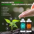 thumbnail image 3 of Humboldts Secret Base A & B Liquid Hydroponic Fertilizer | Complete Hydroponic Nutrients for Indoor and Outdoor Plants | Supports Healthy Vegetative Growth and Flowering Stage | 8 Ounce Set, 3 of 10
