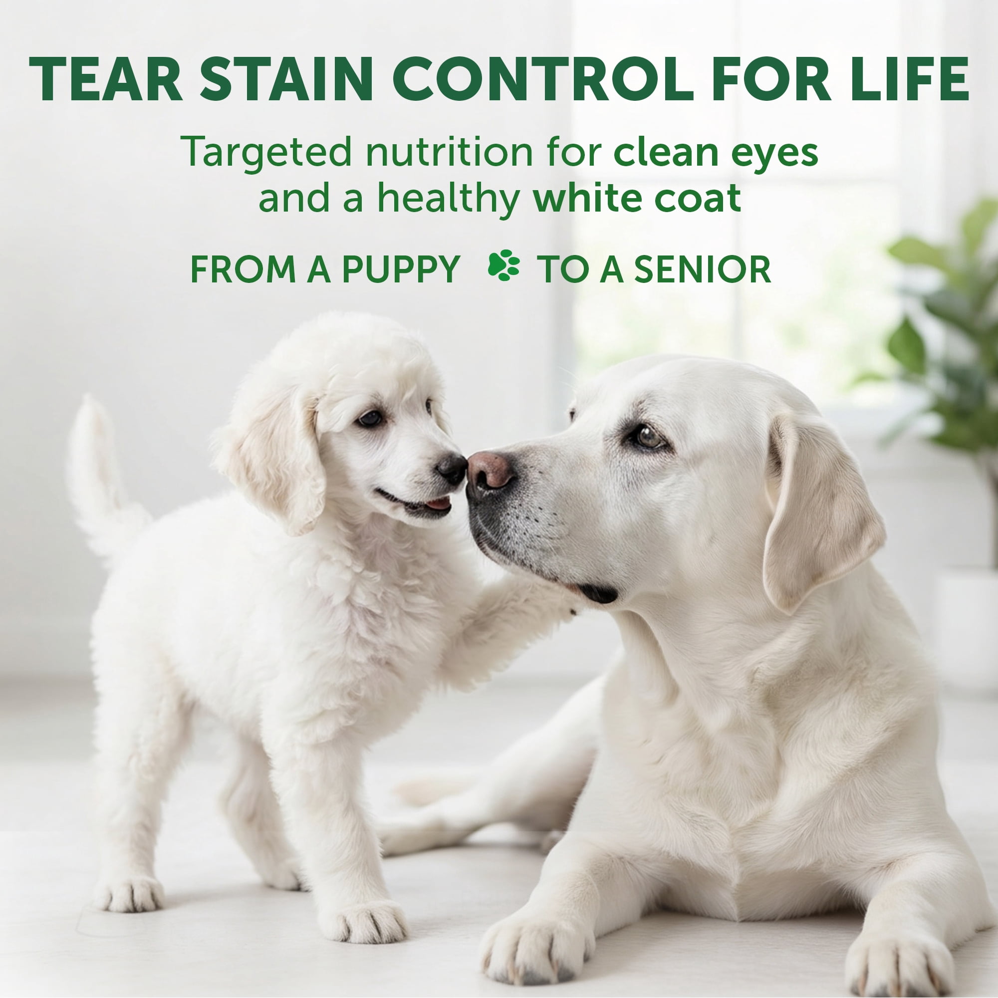 Nature's Protection Superior Care Dry Dog Food, White Coat, All Life Stages, Grain-Free White Fish, 8.8lb