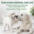 thumbnail image 2 of Nature's Protection Superior Care Dry Dog Food, White Coat, All Life Stages, White Fish & Rice, 22lb, 2 of 9