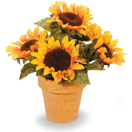 Paper Mache Clay Pot 6 X6 Walmart Canada